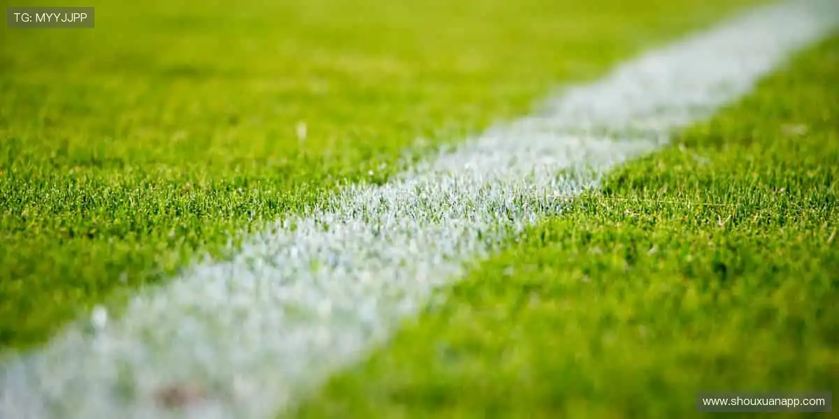 ⚡️速度与激情碰撞!【赛事名称】,点燃你的肾上腺素狂飙🏃♂️